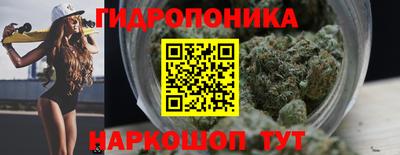 индика Донецк
