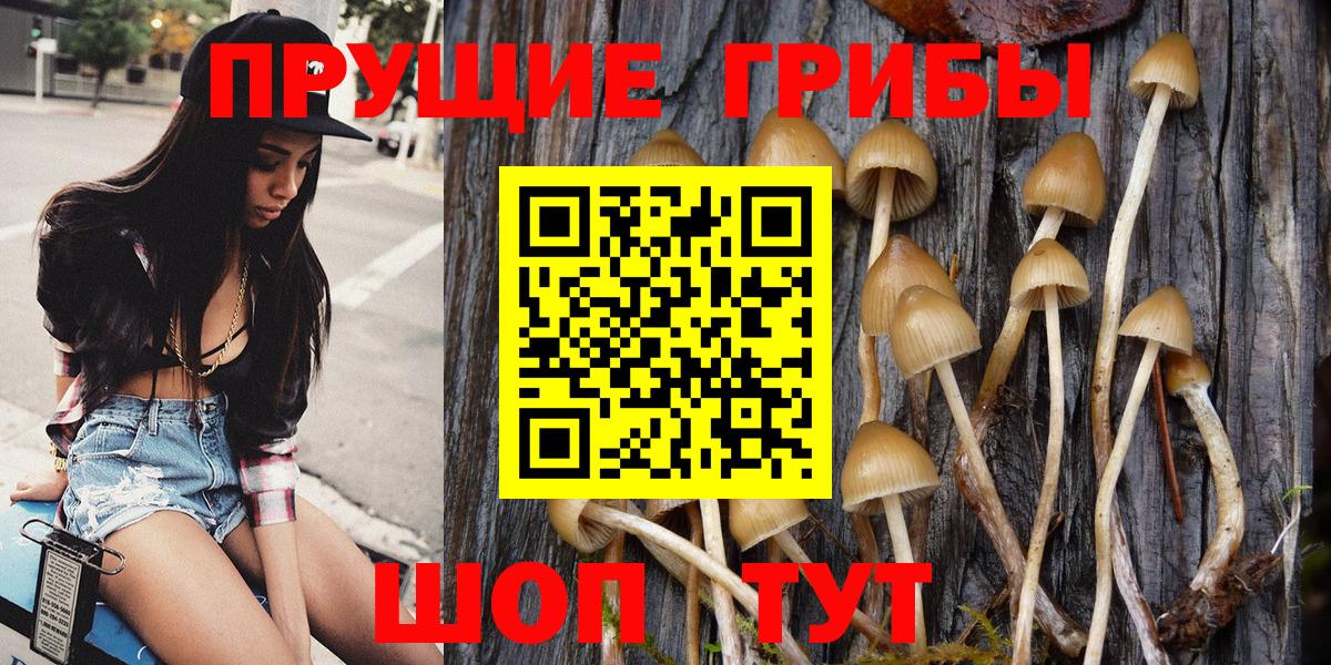 Назарово  Псилоцибиновые грибы Psilocybe  Псилоцибиновые грибы ЛСД  как найти закладки  Вход с VPN 